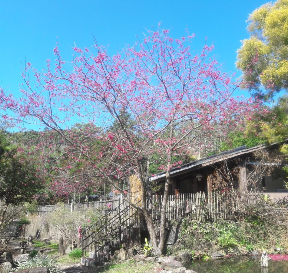 Bright Moon Homestay Dongshi  Exterior photo