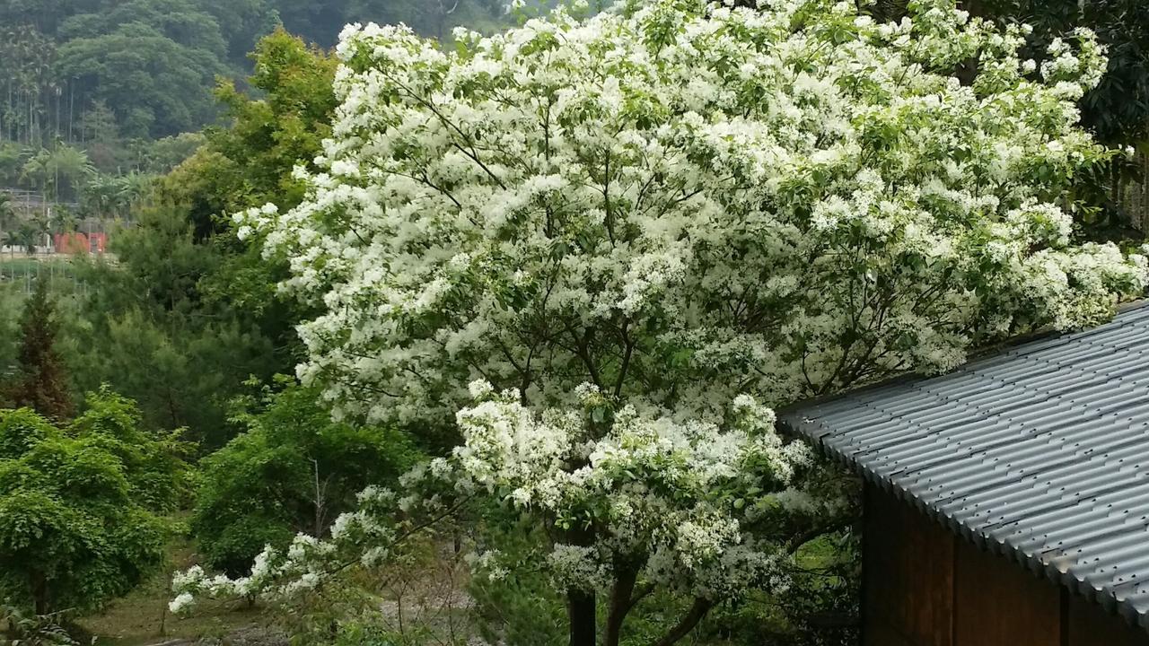 Bright Moon Homestay Dongshi  Exterior photo